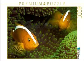 Calvendo Puzzle &bdquo;Nemos in ihrem gr&uuml;nen Zuhause" 1000 Teile, 64&times;48cm