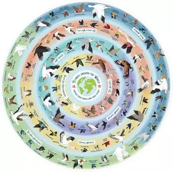 Ridley's Bird Lover's Rundes Puzzle, 1000 Teile (9781797229140)