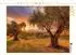 Calvendo Puzzle „Die Magie der Olivenhaine