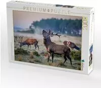 CALVENDO Puzzle Wenn der Hirsch den Pfad kreuzt, wird der Wald lebendig. 2000...