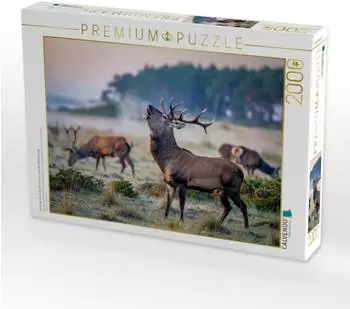 Calvendo Puzzle &bdquo;Wenn der Hirsch den Pfad kreuzt, wird der Wald lebendig" 2000 Teile, 90&times;67cm