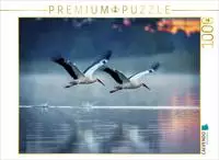 CALVENDO Puzzle Majest&auml;tischer Flug &uuml;ber den See. 1000 Teile Lege-Gr&ouml;&szlig;e 64...