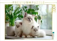 CALVENDO Puzzle Heilige Birma Kitten - Mamas kleine Lieblinge 2000 Teile...