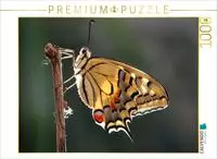 CALVENDO Puzzle Schwalbenschwanz (Papilio machaon) | 1000 Teile Lege-Gr&ouml;&szlig;e 64...