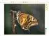 Calvendo Puzzle Schwalbenschwanz (Papilio machaon) 1000 Teile, 64×48cm