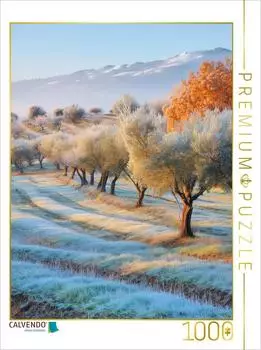 Calvendo Puzzle &bdquo;Wo die Zeit Wurzeln schl&auml;gt" 1000 Teile, 64&times;48cm