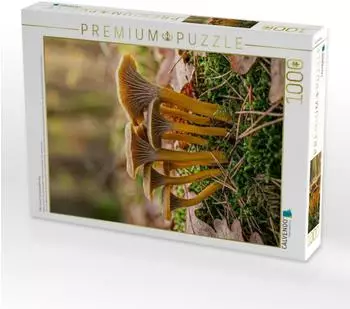 Calvendo Puzzle Pilz Portr&auml;t Trompetenpfifferling 1000 Teile, 64&times;48cm