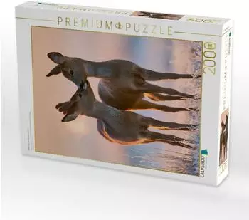 Calvendo Puzzle &bdquo;N&auml;he, die das Herz erw&auml;rmt" 2000 Teile, 90&times;67cm