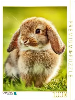 Calvendo Puzzle "Tierisch sch&ouml;ne Gef&uuml;hle" 1000 Teile, 64x48cm