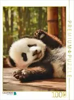 CALVENDO Puzzle Kleine Pfoten, gro&szlig;e Wirkung 1000 Teile Lege-Gr&ouml;&szlig;e 64x48cm