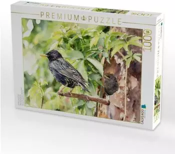 Calvendo Puzzle &bdquo;Star mit Nachwuchs | Brutzeit im Fr&uuml;hling" 1000 Teile, 64&times;48cm