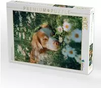CALVENDO Puzzle Nicht kann mich jetzt aus der Ruhe bringen 2000 Teile...
