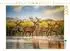 Calvendo Foto-Puzzle „Augenblick der Stille
