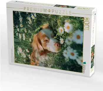 Calvendo Puzzle &bdquo;Nichts kann mich jetzt mehr aus der Ruhe bringen" 1000 Teile, 64&times;48cm