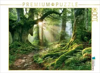 Calvendo Puzzle "Wege ins Waldgl&uuml;ck" 1000 Teile, 64&times;48cm
