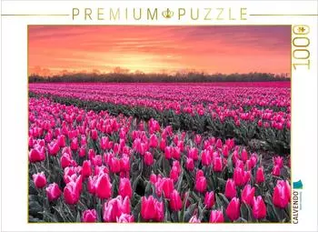 Calvendo Puzzle &bdquo;Tulpenmeer im Abendlicht" 1000 Teile, 64&times;48cm