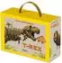 Star Konturenpuzzle T-Rex, 50 Teile, ab 5 Jahren (9788863128109)