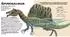 Star Konturenpuzzle T-Rex, 50 Teile, ab 5 Jahren (9788863128109)