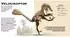 Star Konturenpuzzle T-Rex, 50 Teile, ab 5 Jahren (9788863128109)
