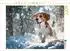 Calvendo Beagle - Mit fliegenden Ohren ins Winterglück, Puzzle 1000 Teile, 64×48cm