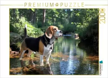 Calvendo Beagle &ndash; Auf Entdeckungstour im Wald, Puzzle 2000 Teile, 90&times;67cm