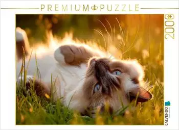 Calvendo Puzzle &bdquo;Heilige Birma &ndash; Ein Platz an der Sonne" 2000 Teile, 90&times;67cm