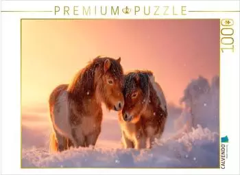 Calvendo Shetlandponys &ndash; Gemeinsam durch den Winter, Puzzle 1000 Teile, 64&times;48cm