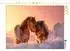 Calvendo Shetlandponys – Gemeinsam durch den Winter, Puzzle 1000 Teile, 64×48cm