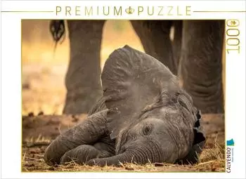 Calvendo Puzzle "Elefantenbaby schlafend und gut besch&uuml;tzt", 1000 Teile, 64x48cm