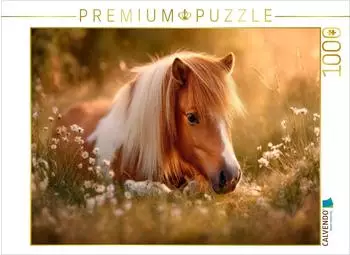 Calvendo Shetlandpony - Stille Sommermomente Puzzle 1000 Teile 64&times;48cm