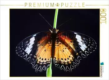 Calvendo Bortenfalter (Cethosia biblis) Foto-Puzzle 1000 Teile, 64×48cm