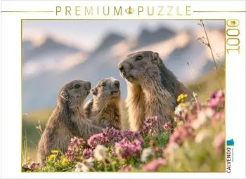 Calvendo Puzzle &bdquo;Gipfelgl&uuml;ck mit Aussicht", 1000 Teile, 64&times;48cm