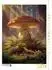 Calvendo Zauber aus dem Wald Puzzle 1000 Teile, 64×48cm