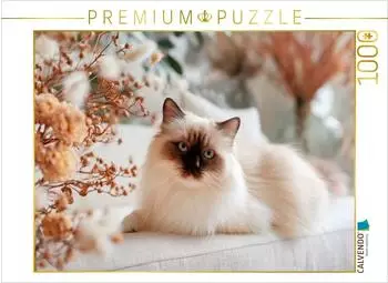 Calvendo Heilige Birma - Augenblick der Harmonie, Puzzle 1000 Teile, 64&times;48cm
