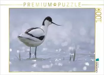 Calvendo Foto-Puzzle S&auml;belschn&auml;bler (Recurvirostra avosetta) 1000 Teile, 64&times;48cm