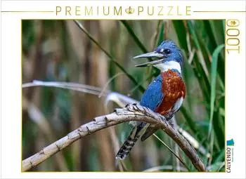 Calvendo Puzzle "Rotbrustfischer aus Costa Rica" 1000 Teile, 64x48cm