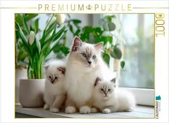 Calvendo Puzzle &bdquo;Heilige Birma Kitten &ndash; Mamas kleine Lieblinge" 1000 Teile, 64&times;48cm