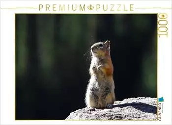 Calvendo Puzzle Chipmunk, 1000 Teile, 64&times;48cm