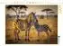Calvendo Puzzle „Streifen im Sonnenlauf