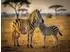 Calvendo Puzzle „Streifen im Sonnenlauf