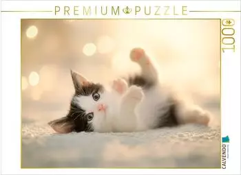 Calvendo Puzzle "Herzensbrecher auf vier Pfoten" 1000 Teile 64x48cm