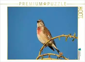 Calvendo Puzzle Bluth&auml;nfling, 1000 Teile, 64x48cm