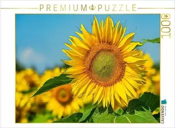 Calvendo Puzzle &bdquo;Das Leben ist zu kurz f&uuml;r irgendwann", 1000 Teile, 64&times;48cm