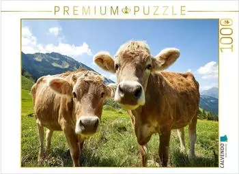 Calvendo Puzzle "Ein Foto f&uuml;rs Familienalbum" 1000 Teile 64x48cm