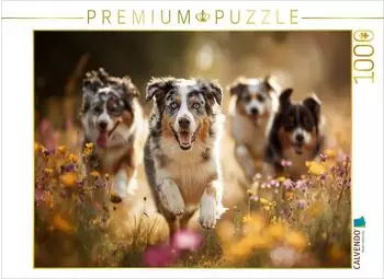 Calvendo Puzzle "Goldene Tage, flauschige Freunde" 1000 Teile 64x48cm