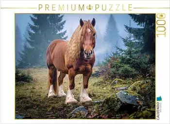 Calvendo Puzzle &bdquo;Arbeitspferde in Action" 1000 Teile, 64&times;48cm