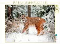 CALVENDO Puzzle Luchs - Begegnung im Winterwald 1000 Teile Lege-Gr&ouml;&szlig;e 64x48cm