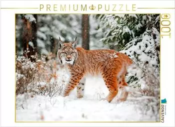 Calvendo Luchs &ndash; Begegnung im Winterwald, Foto-Puzzle 1000 Teile, 64x48cm