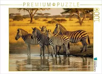 Calvendo Puzzle &bdquo;Zebras, Harmonie im Kontrast" 1000 Teile, 64&times;48cm