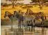 Calvendo Puzzle „Zebras, Harmonie im Kontrast